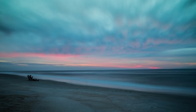 沙滩和浮木
